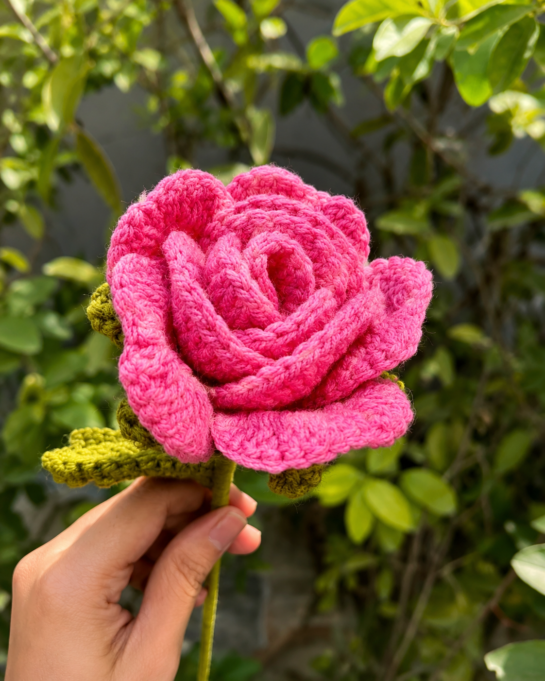 Blush Rose Keepsake